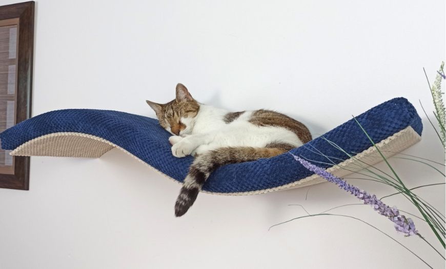 Półka na ścianę dla kota – dlaczego warto ją mieć? Praktyczne korzyści i porady