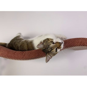 Cat's Atelier Półka na ścianę dla kota fala symetryczna lewa 75cm - ciemny brudny róż