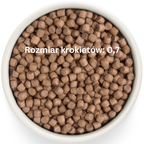 Grandorf Fresh Turkey Adult Mini – bezzbożowa karma dla psów dorosłych 3kg