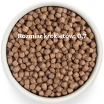 Grandorf Fresh Turkey Adult Mini – bezzbożowa karma dla psów dorosłych 3kg